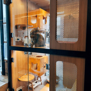 精緻大套房1+1（窗型）